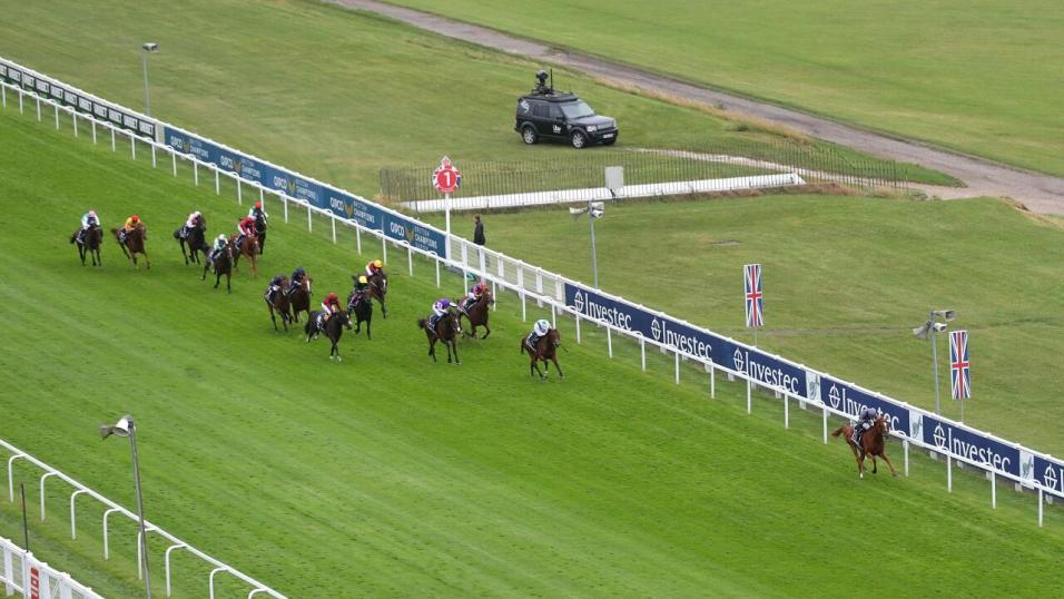 Serpentine won the 2020 Derby